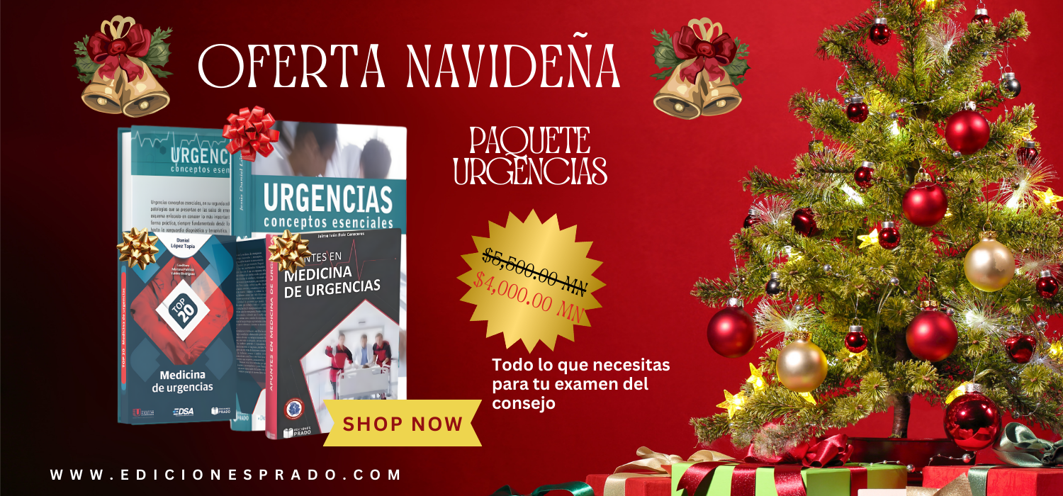 Banner Oferta navideña